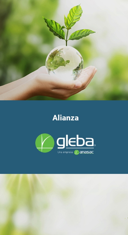 Enmascarar grupo 765